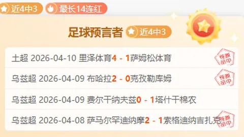 掘金主场激战火箭，约基奇对申京内线对决