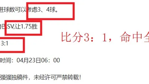 澳维超连败期号专家质合分析前区十码推荐